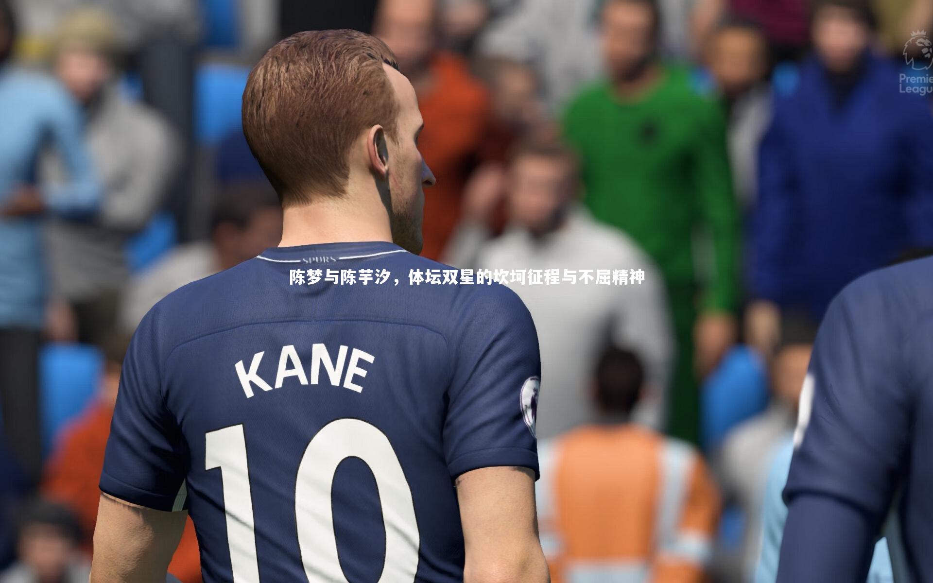 陈梦与陈芋汐，体坛双星的坎坷征程与不屈精神